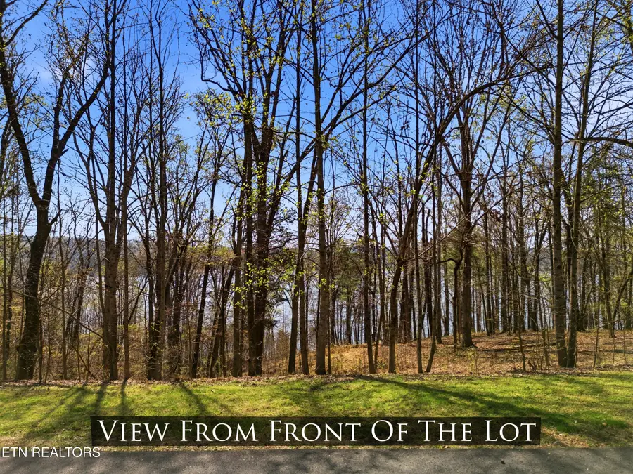 Lot 142 E Shore Drive, Rockwood, TN 37854 - #2