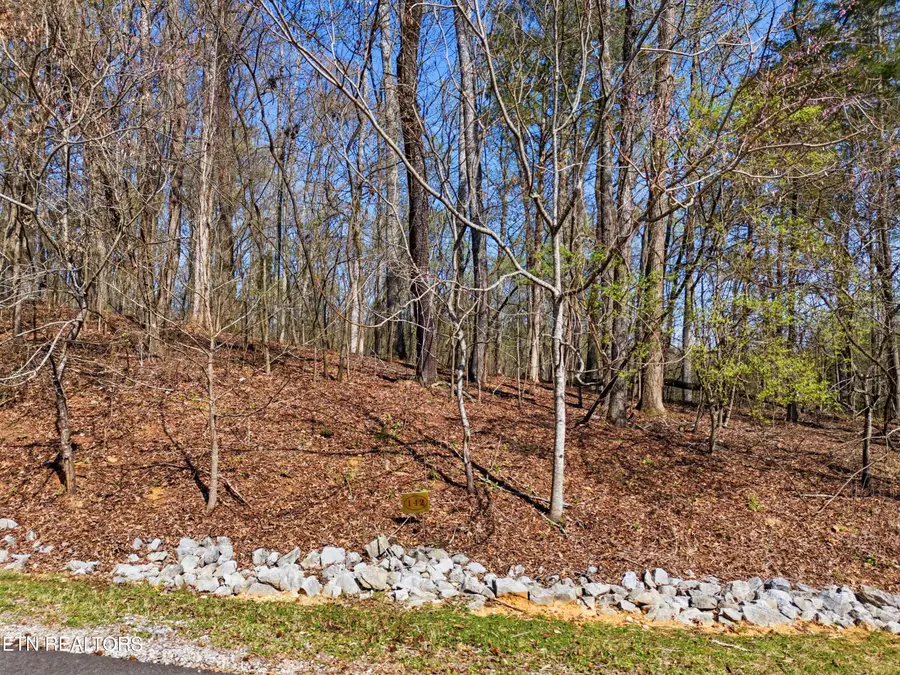 Lot 142 E Shore Drive, Rockwood, TN 37854 - #3