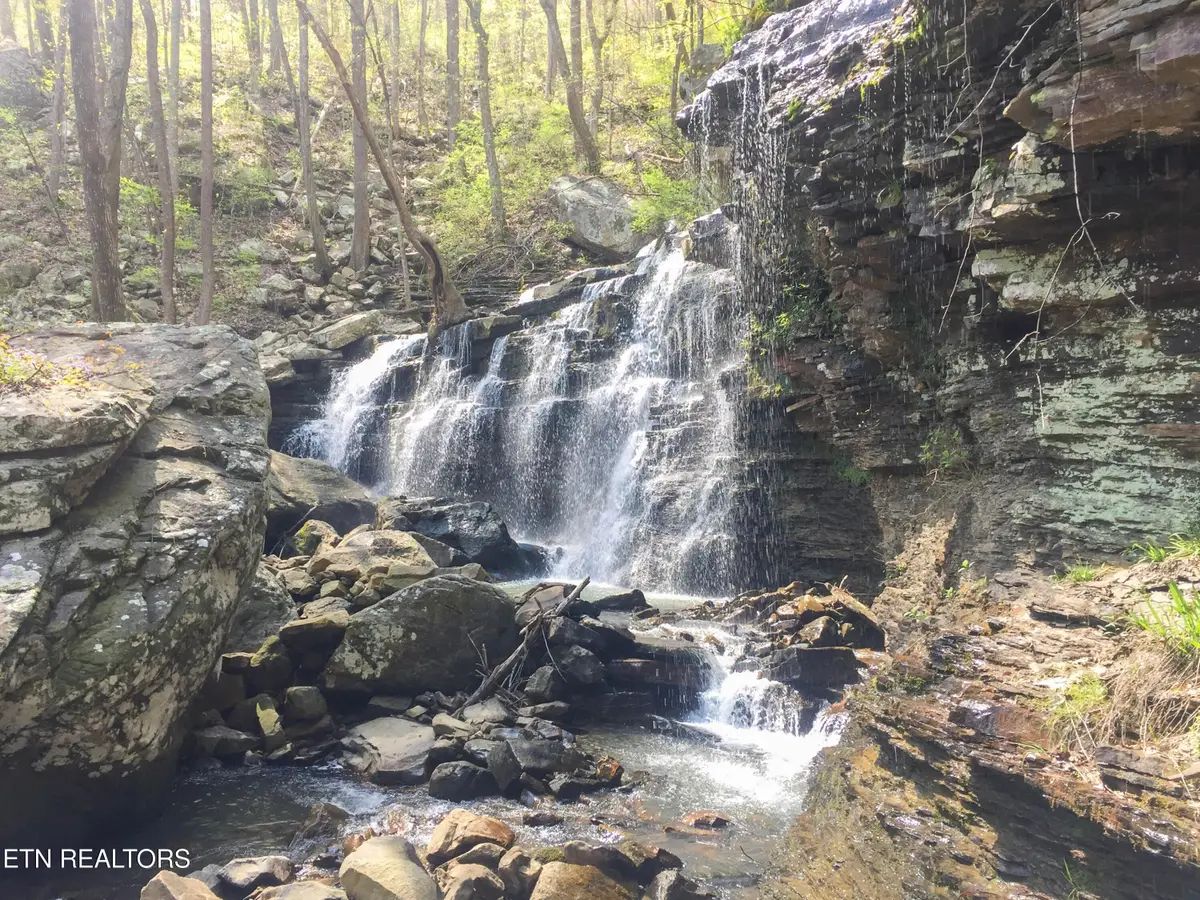 Rockfort Road - 100 Acres, Pikeville, TN 37367 - #1