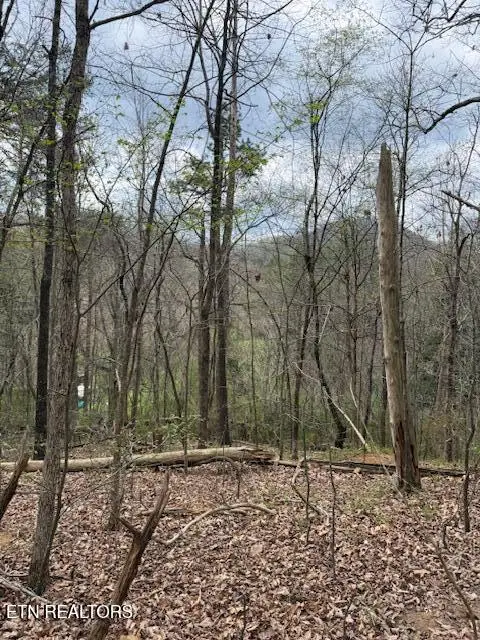 151 Hennessey Mtn / Brisk Way, Cosby, TN 37722 - #1