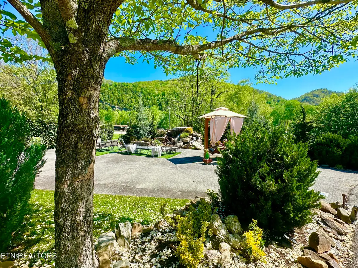 213 & 214 Highway 73, Townsend, TN 37882 - #1