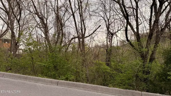 Lot 4 Hideaway Ridge Circle, Sevierville, TN 37862