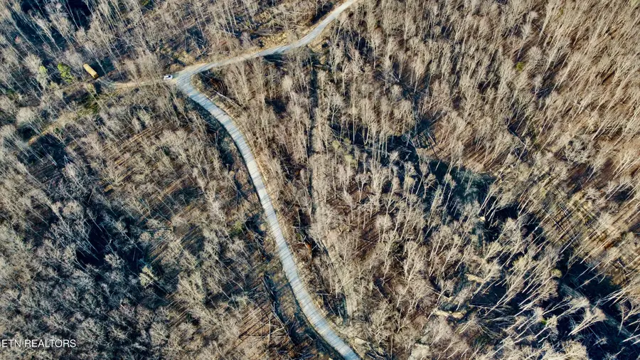 Lot#8 Mill Creek Rd #026 009.19, Sunbright, TN 37872 - #3