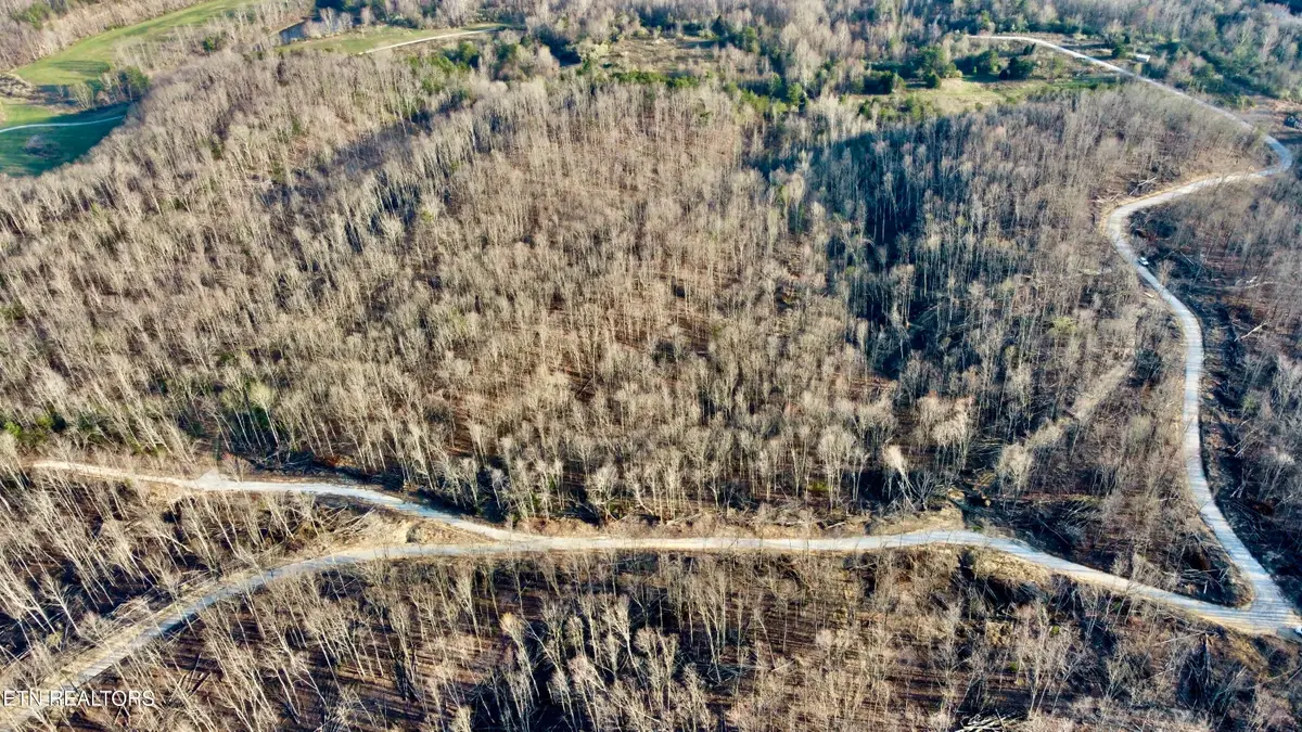 Lot#12 Mill Creek Rd, Sunbright, TN 37872 - #1