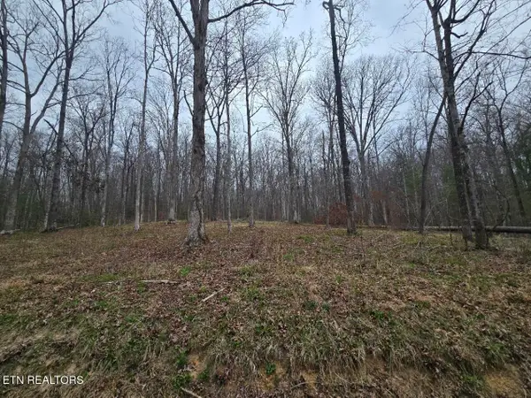 0 Scott-fentress Co. Line, Allardt, TN 38504