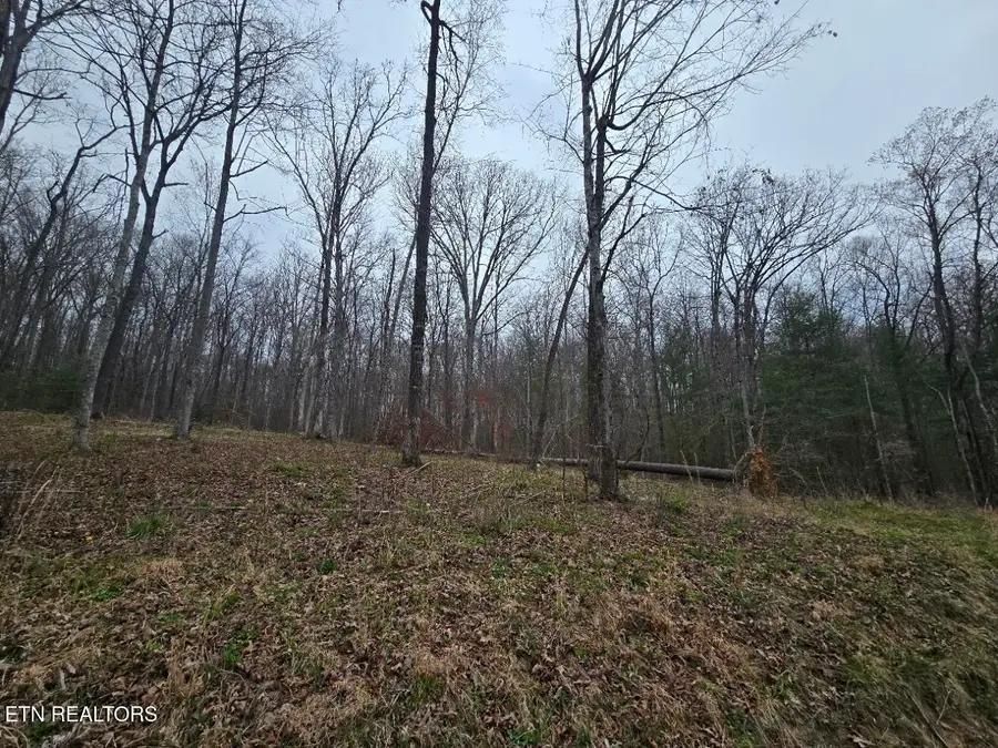 0 Scott-fentress Co. Line, Allardt, TN 38504 - #2