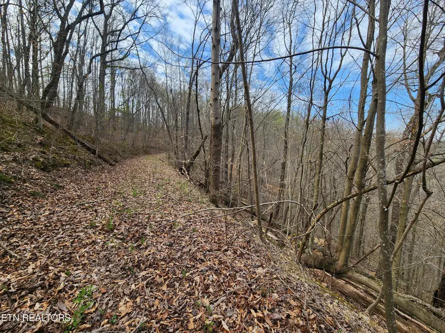 Alpine Drive, Smithville, TN 37166 - #2