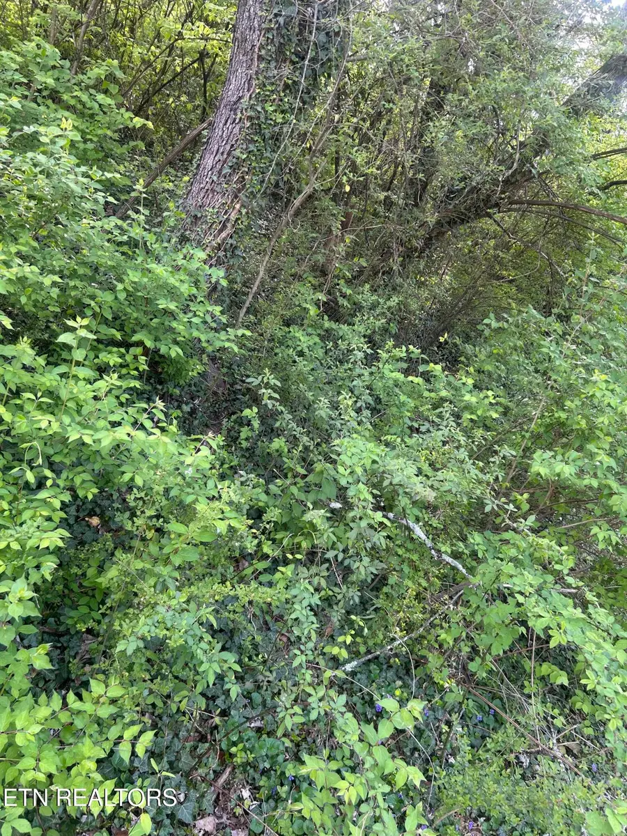 3339 Johnston St, Knoxville, TN 37921 - #2