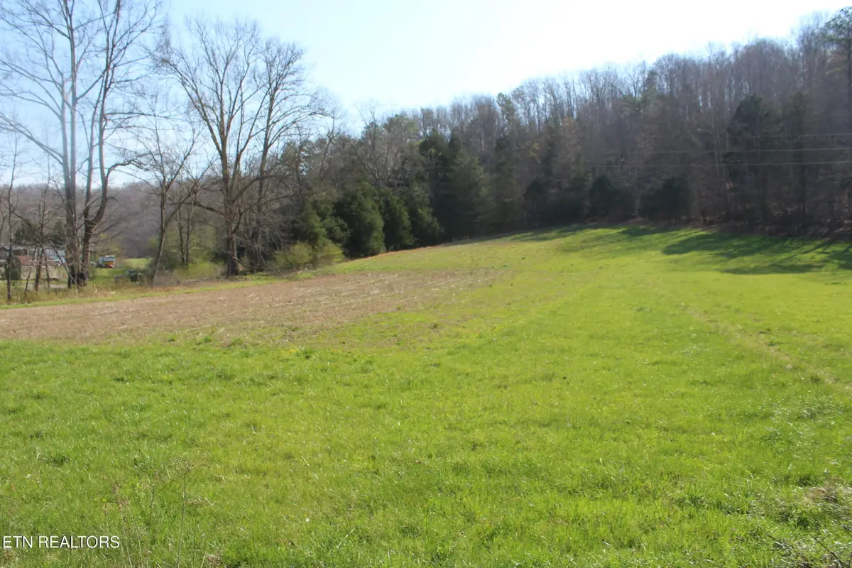 3044 Caney Creek Rd, Pall Mall, TN 38577 - #1