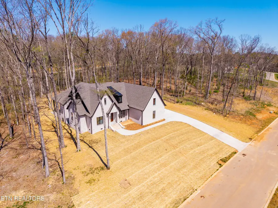 1221 Kellys View Drive, Greenback, TN 37742 - #2