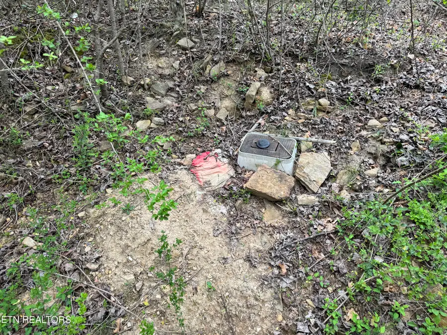 849 Camp Austin Rd, Oakdale, TN 37829 - #3