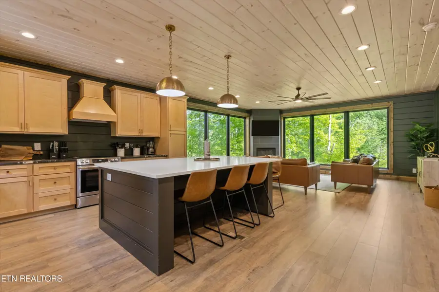 906 Saddle Creek Way, Sevierville, TN 37862 - #3