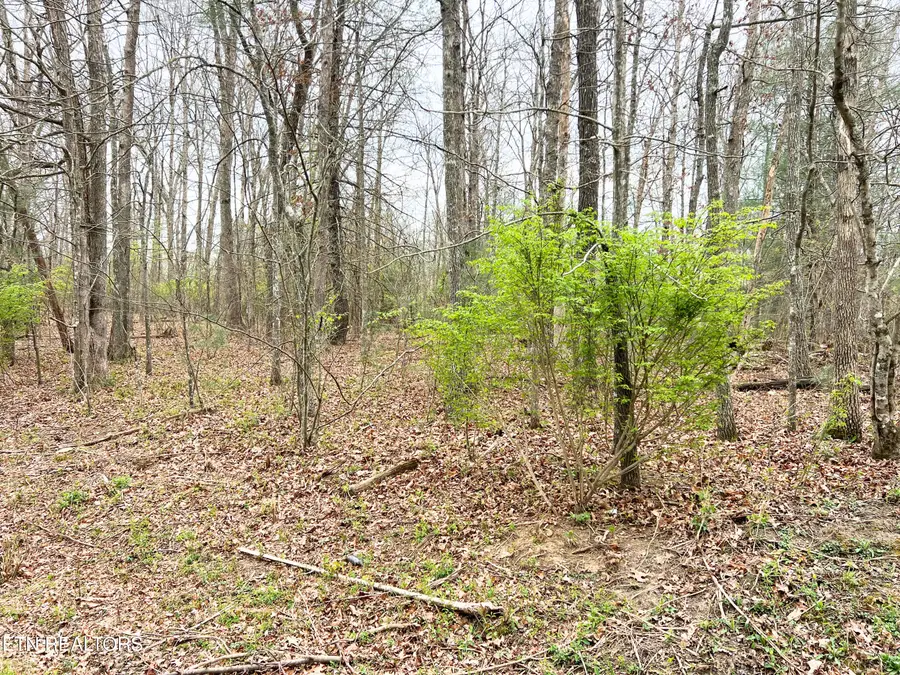 1032, 1036 Uno Lane, Crossville, TN 38572 - #2