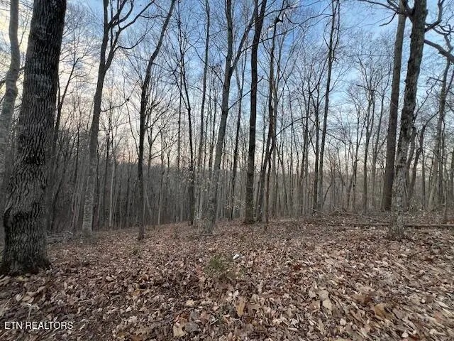 192 Taylor Rd, Byrdstown, TN 38549 - #3