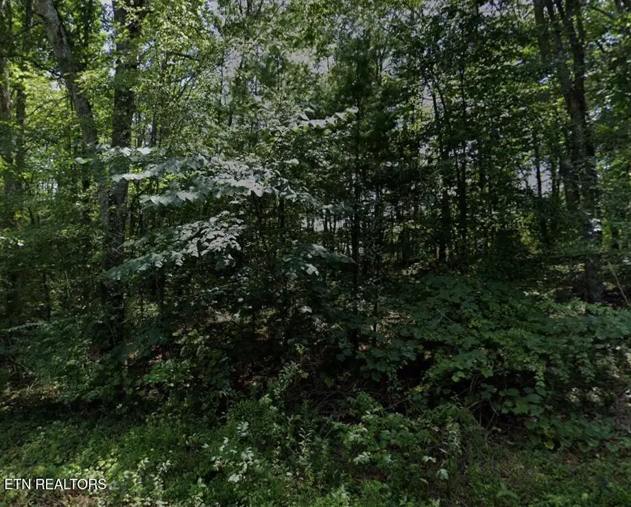 7014 Ute Lane, Crossville, TN 38572 - #1