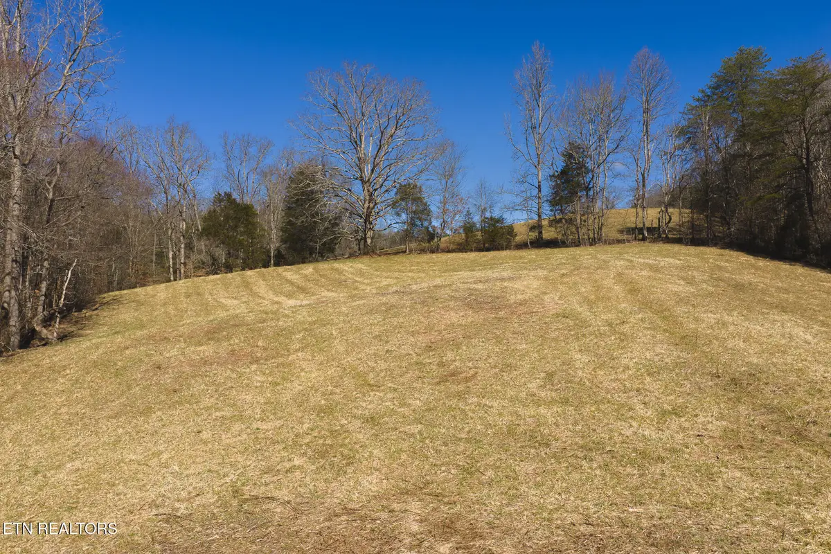 100 Acres Sutton Hollow Rd, Sneedville, TN 37869 - #1