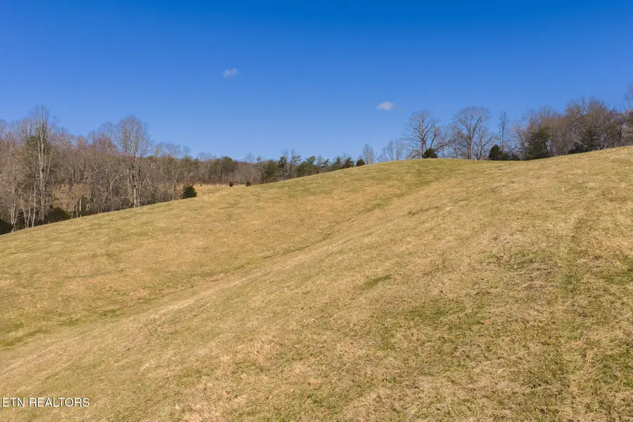 100 Acres Sutton Hollow Rd, Sneedville, TN 37869 - #2