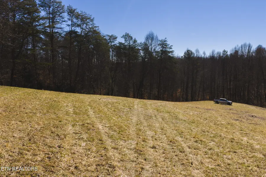 100 Acres Sutton Hollow Rd, Sneedville, TN 37869 - #3