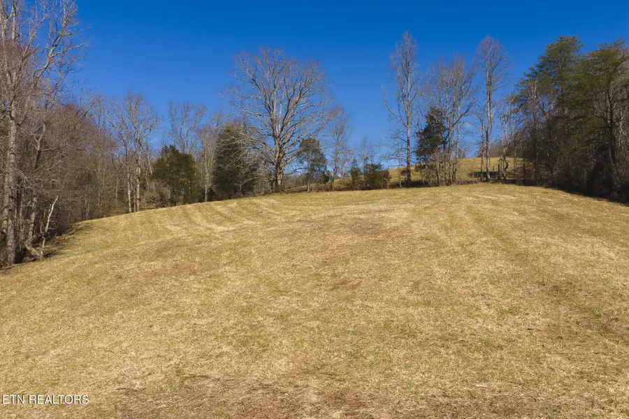 50 Acres Sutton Hollow Rd, Sneedville, TN 37869 - #2