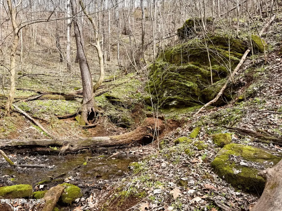 0 New Highway 68, Madisonville, TN 37354 - #2