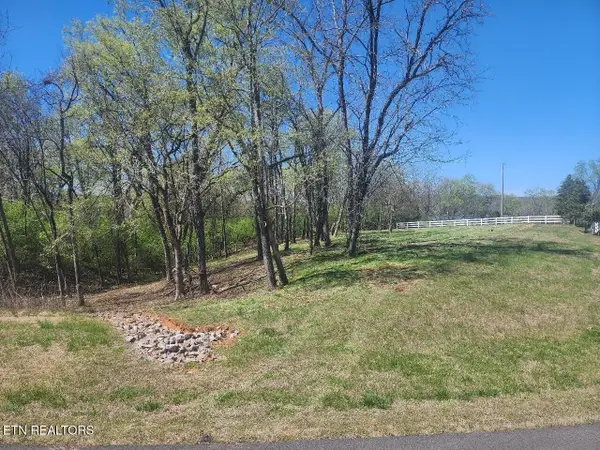 Lot 237 E Shore Drive, Rockwood, TN 37854