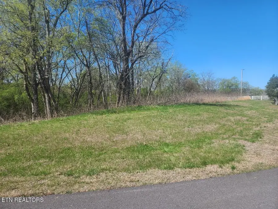 Lot 237 E Shore Drive, Rockwood, TN 37854 - #2