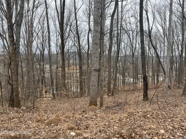 147 Chestnut Hill Rd, Livingston, TN 38570