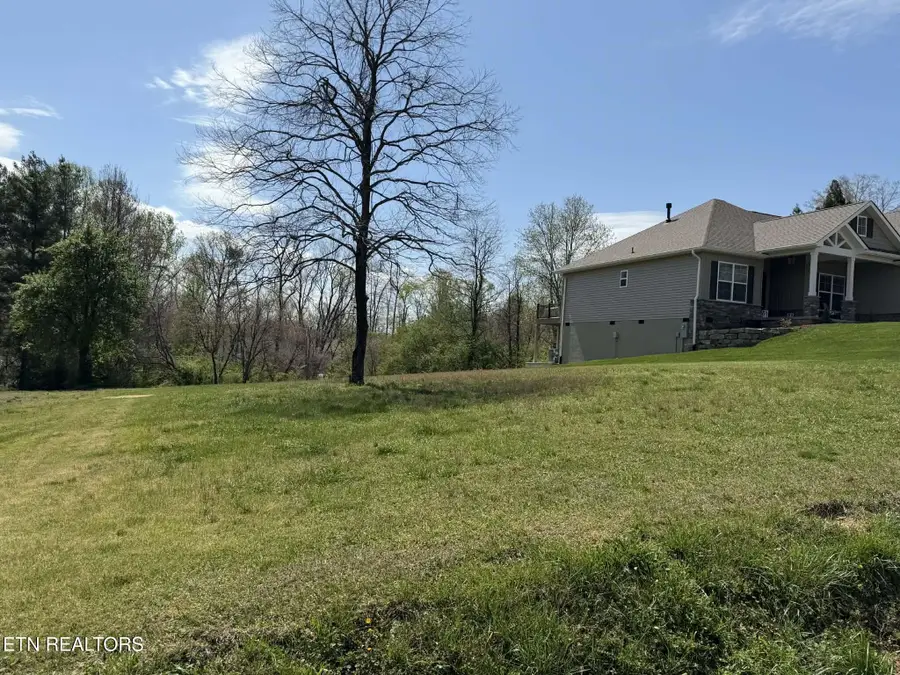 323 Tigitsi Way, Loudon, TN 37774 - #3