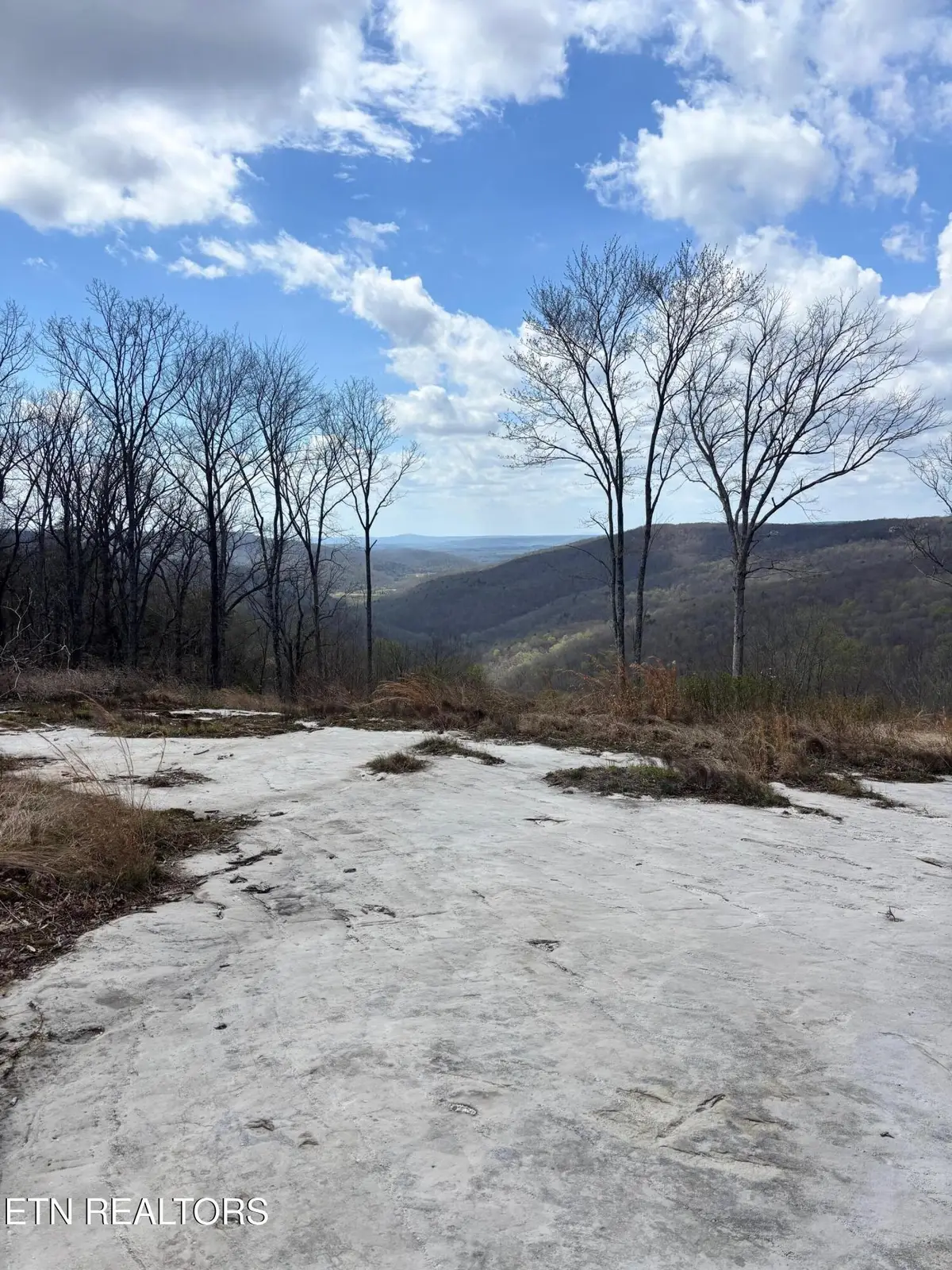 1560 E Overlook Rd, Monterey, TN 38574 - #1