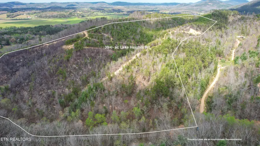 39.02 AC Lake Heights Rd, Tellico Plains, TN 37385 - #2