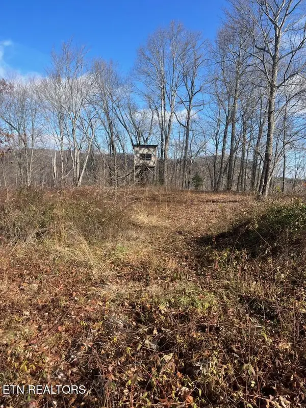 Howard Baker Hwy, Pioneer, TN 37847