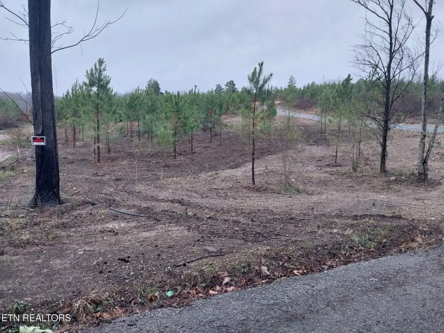 339 Big Sewee Rd, Decatur, TN 37322 - #3