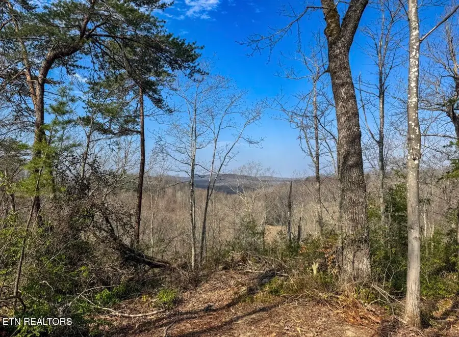 Clifty Creek Rd, Winfield, TN 37892 - #2