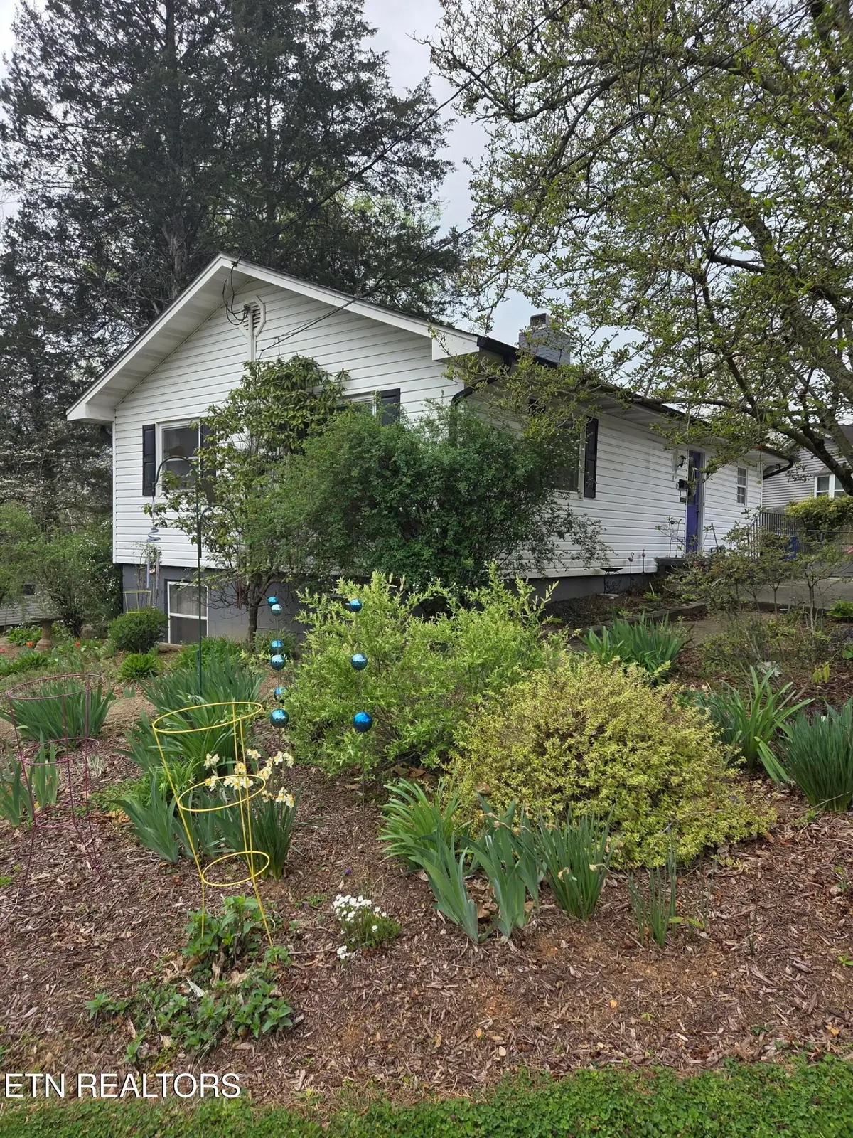 101 Tabor Rd, Oak Ridge, TN 37830 - #1