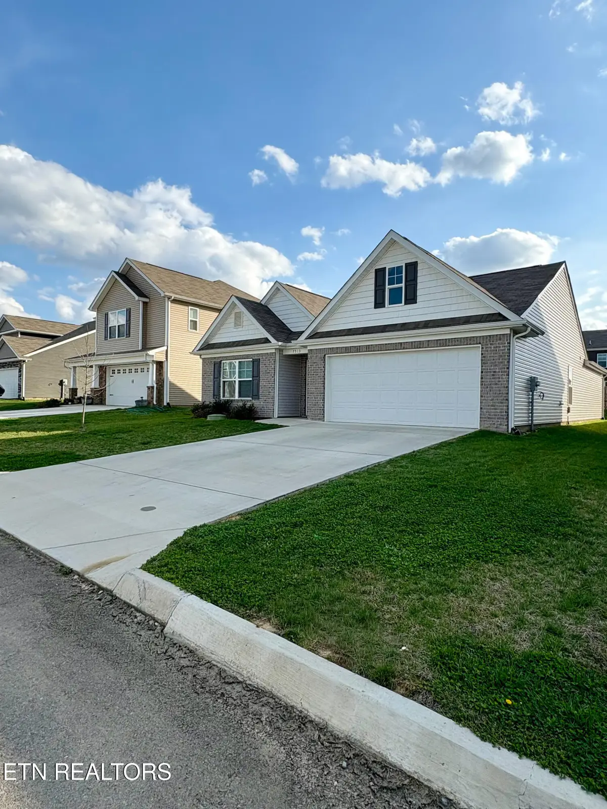 7513 Cottontail St, Corryton, TN 37721 - #1