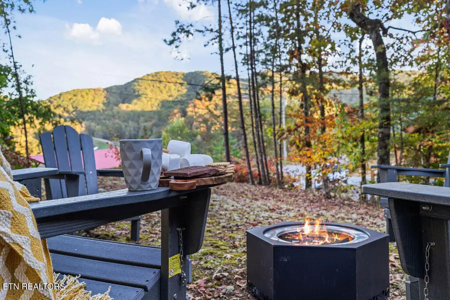 1440 Red Cedar Lane, Sevierville, TN 37876 - #2