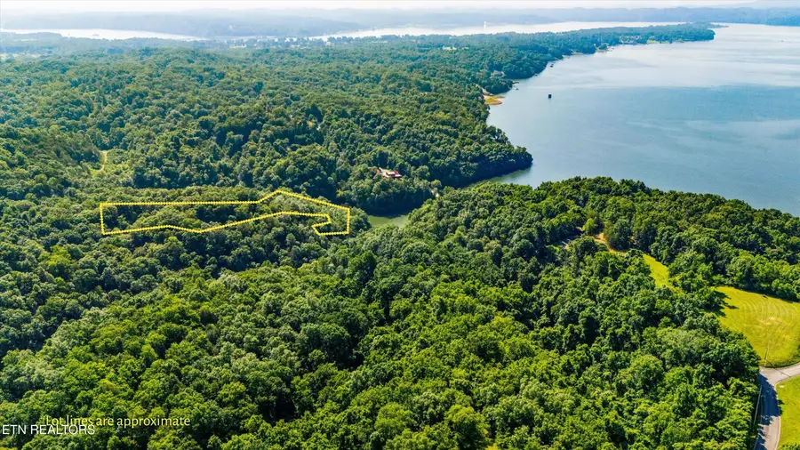 Fortunato Drive, Baneberry, TN 37890 - #3