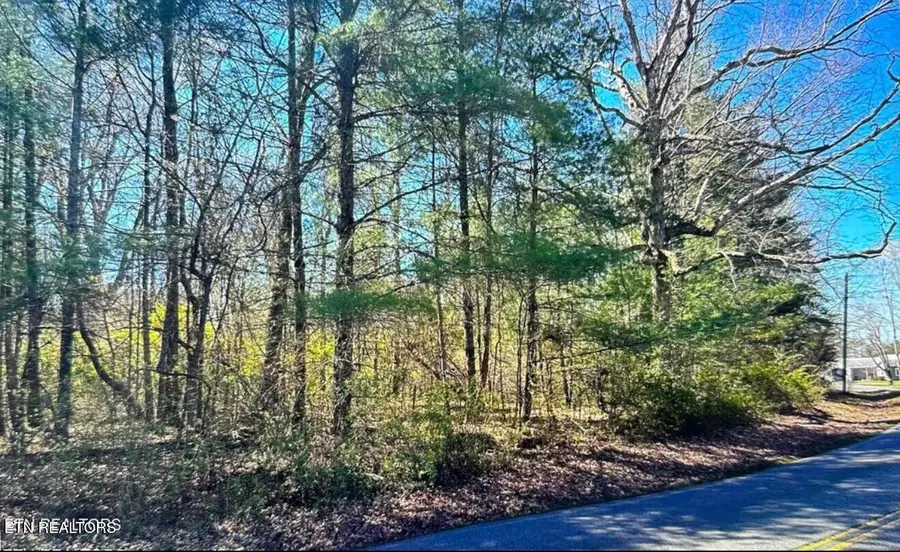 9432 Cherokee Tr, Crossville, TN 38572 - #3