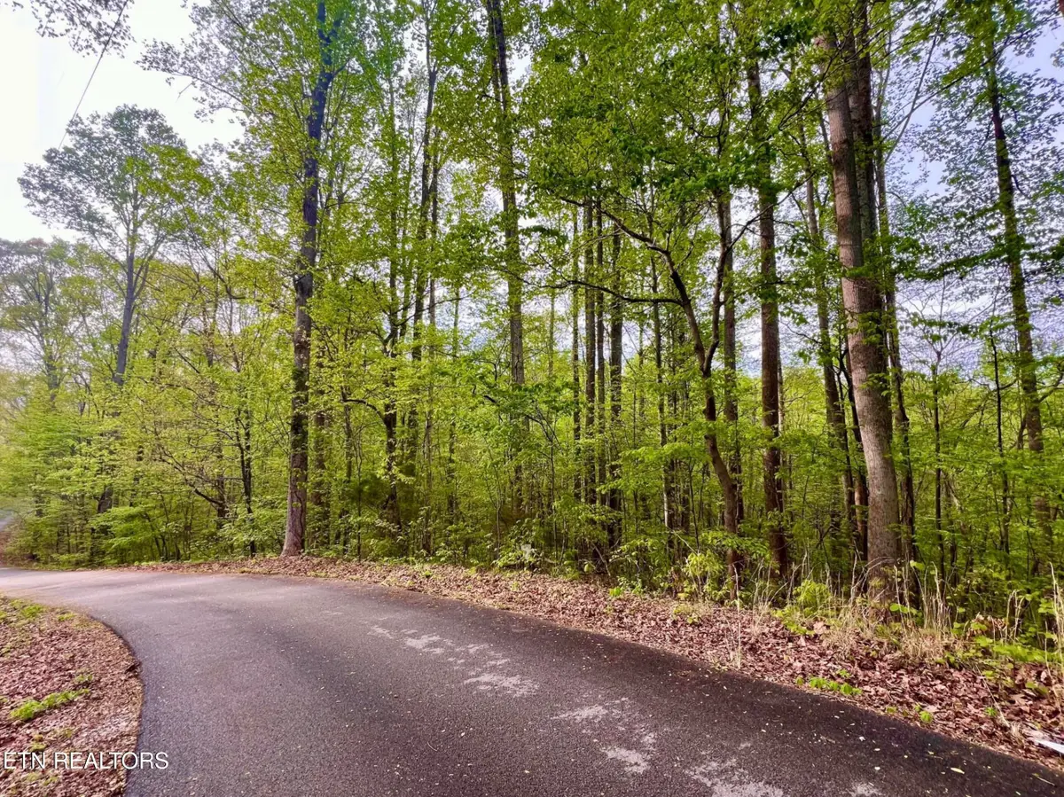 Lot 76&77 Polly Mountain Rd, Madisonville, TN 37354 - #1
