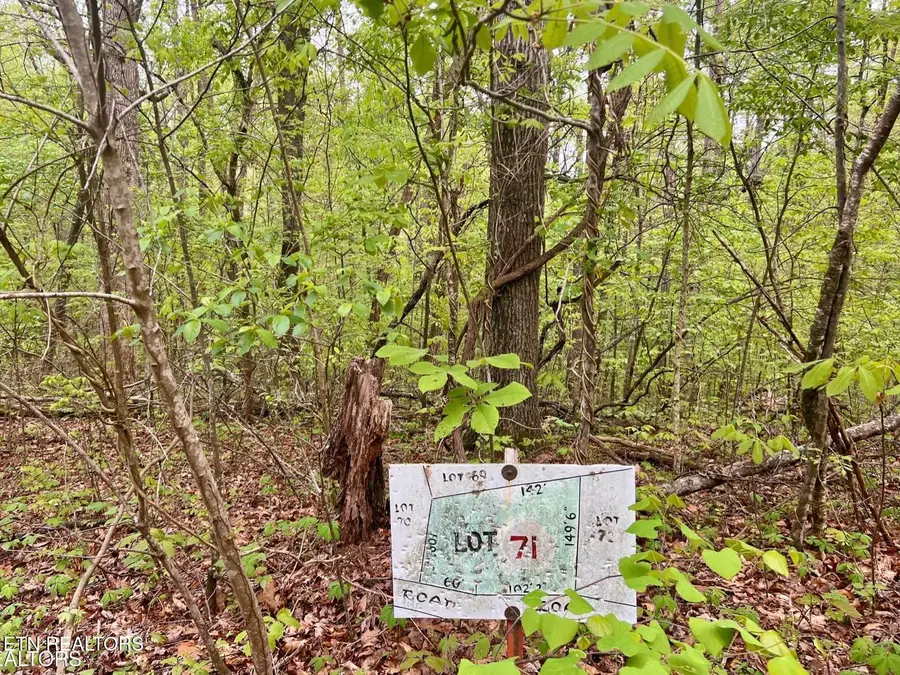 Lot 71&72 Polly Mountain Rd, Madisonville, TN 37354 - #2