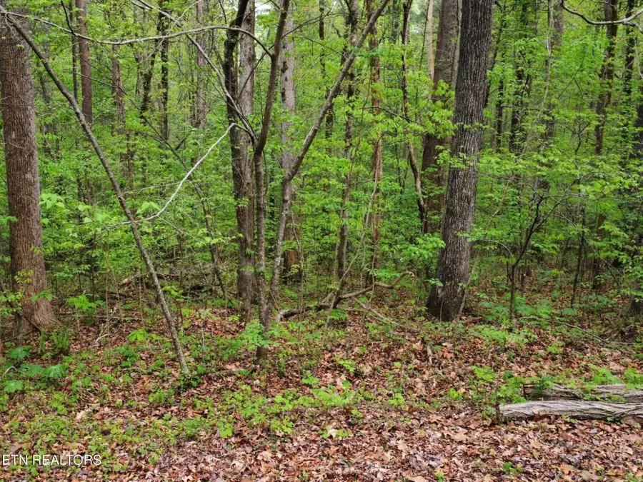 Lot 71&72 Polly Mountain Rd, Madisonville, TN 37354 - #3