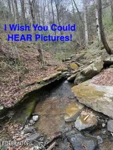 0 Hickory Creek Rd, Lafollette, TN 37766 - #1