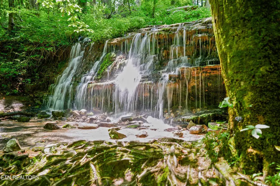 1561 Edgefield Court, Cookeville, TN 38506 - #2