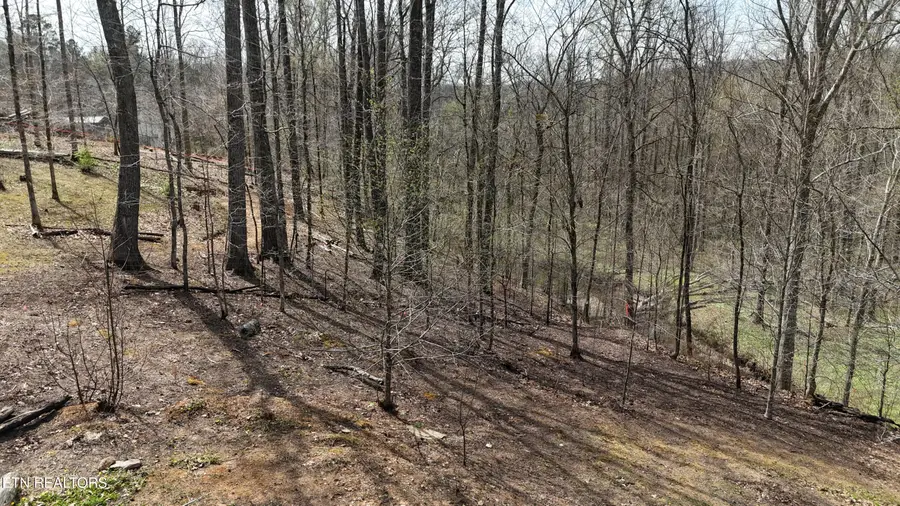 561 Geren Subd Lane, Decatur, TN 37322 - #2