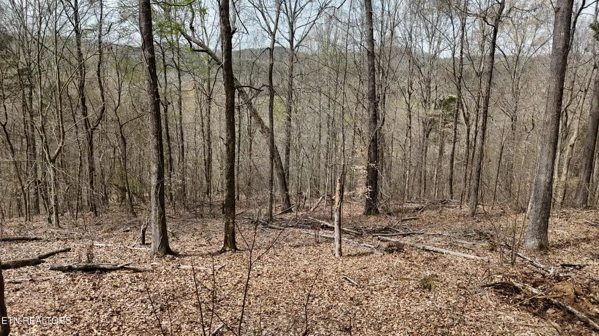 567 Geren Subd Lane, Decatur, TN 37322 - #1