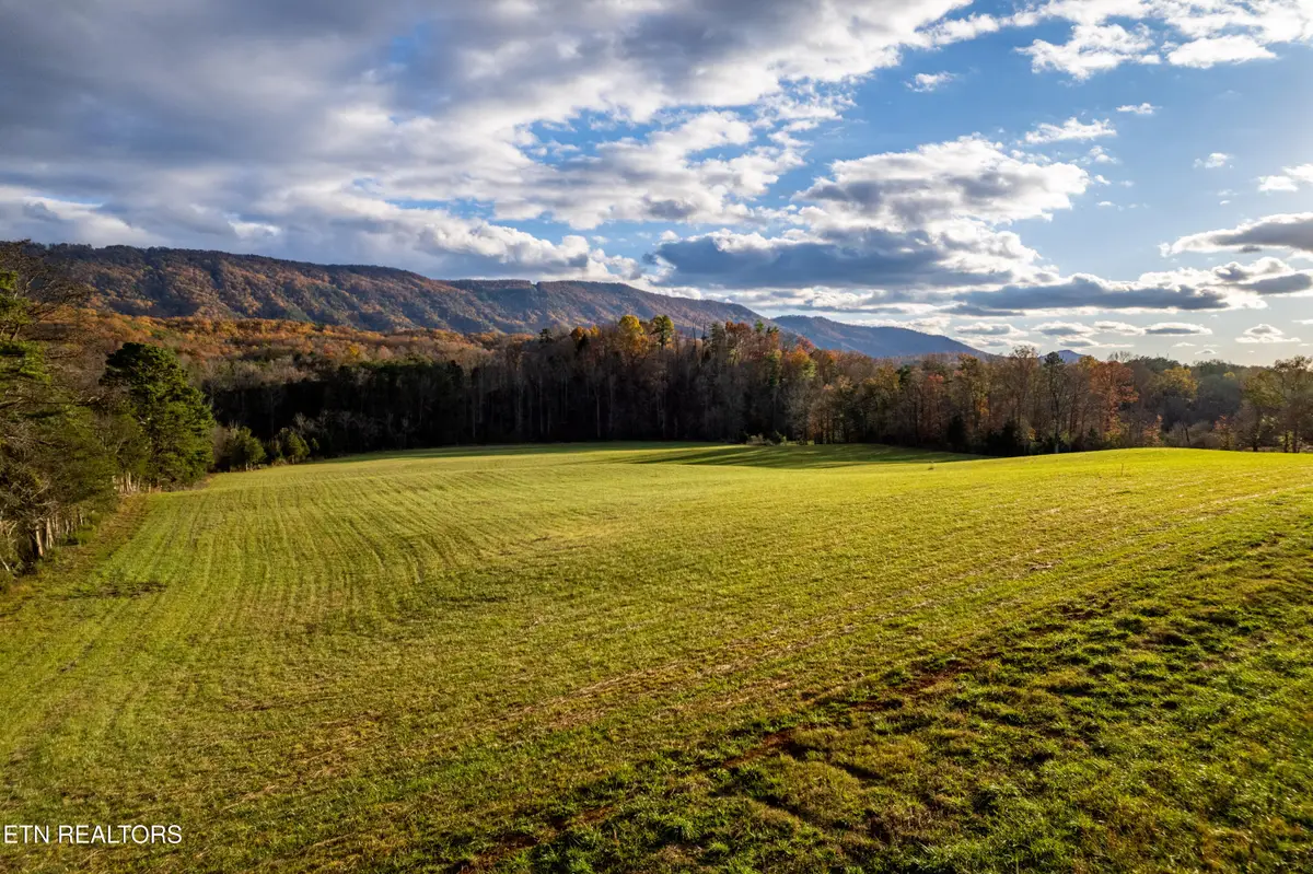 1029 Oscar Best Rd, Maryville, TN 37803 - #1