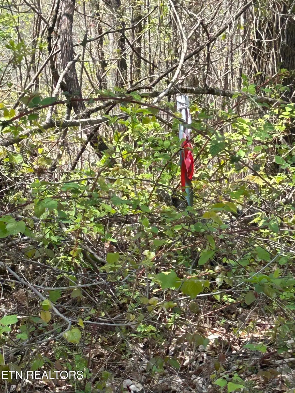 lot 27 Jones Ridge Rd, Speedwell, TN 37870 - #1