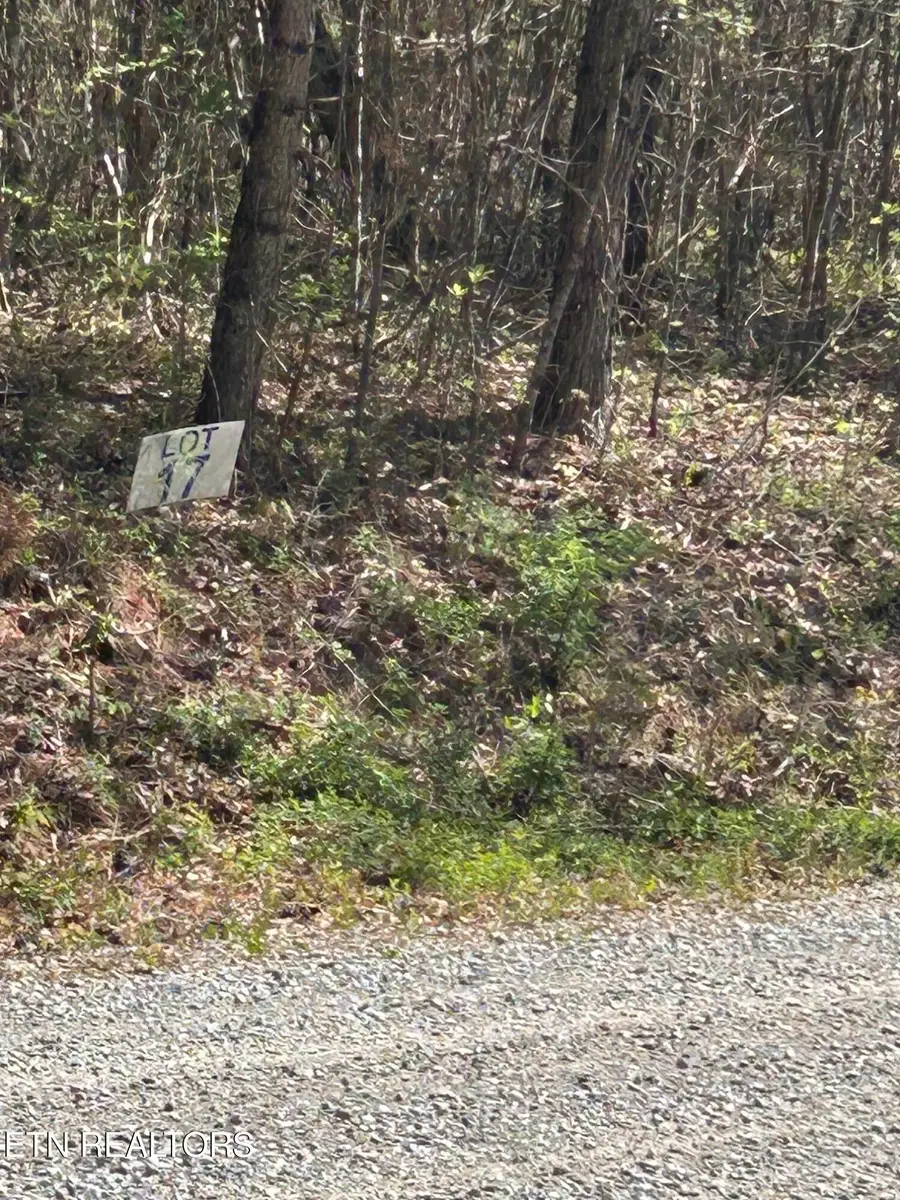 lot 27 Jones Ridge Rd, Speedwell, TN 37870 - #3