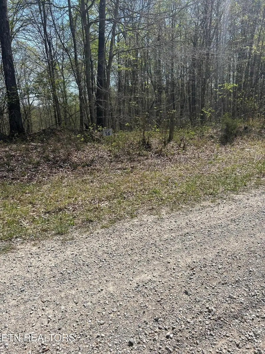 lot 28 Jones Ridge Rd, Speedwell, TN 37870 - #3