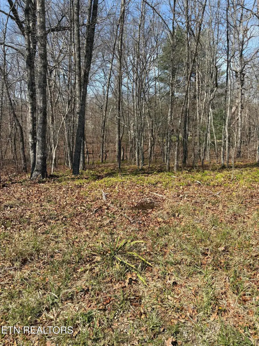 5011 Impa Drive, Crossville, TN 38572 - #2